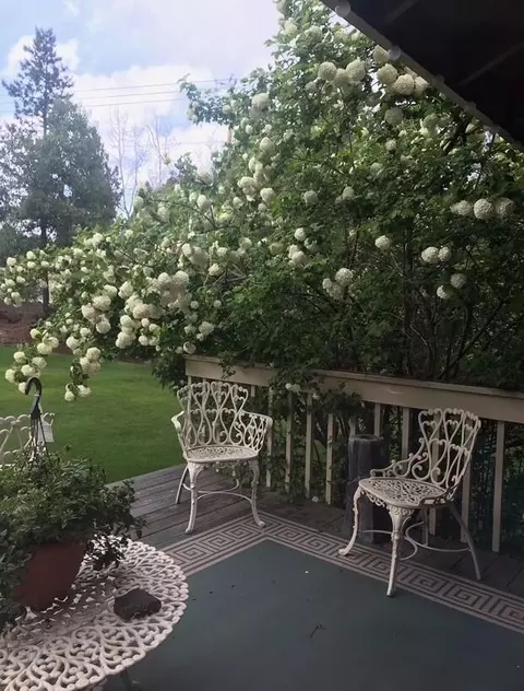 Other - 61581 Range Pl, Bend, OR 97702 photo 6 of 8