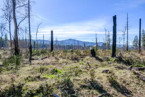 0 Shoreline, Lyons, OR 97358 photo 22