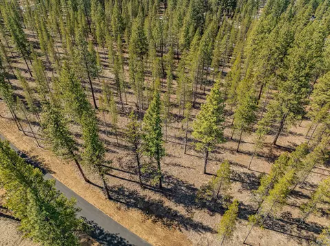 preservation loop, Bend, OR 97707 photo 6