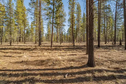 preservation loop, Bend, OR 97707 photo 5
