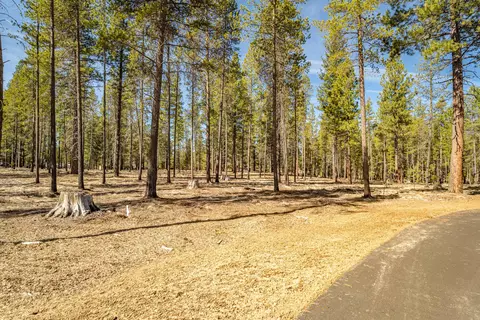 cottontail loop, Bend, OR 97707 photo 6