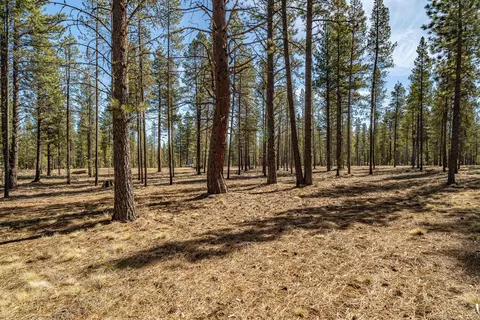 cottontail loop, Bend, OR 97707 photo 4