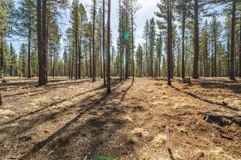cottontail loop, Bend, OR 97707