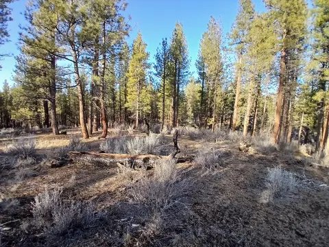 elde street LOT 31 BLOCK 3, Chiloquin, OR 97624