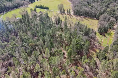 View/Area - 1245 E Crow Rd, Merlin, OR 97532 photo 4 of 10