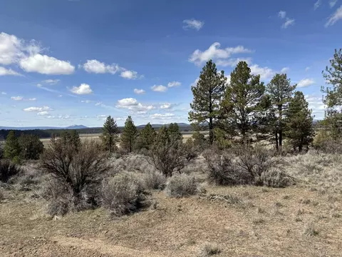 quarry circle, Beatty, OR 97621 photo 15