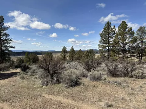 quarry circle, Beatty, OR 97621 photo 16