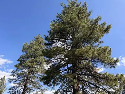 quarry circle, Beatty, OR 97621 photo 23