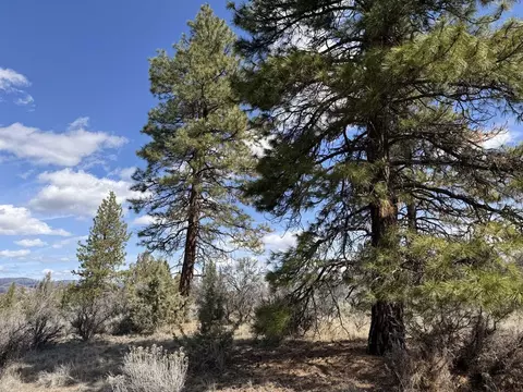 quarry circle, Beatty, OR 97621 photo 22