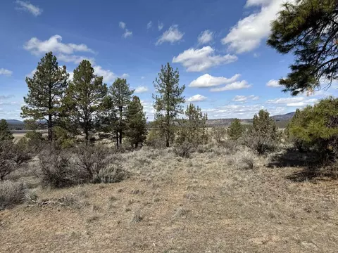 quarry circle, Beatty, OR 97621 photo 14