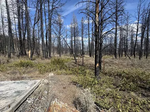 nf 4464 road LOT 800, Beatty, OR 97621