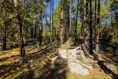 15372 Deer Ave, La Pine, OR 97739 photo 6
