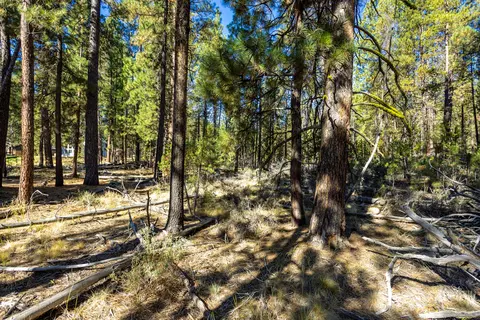 15372 Deer Ave, La Pine, OR 97739 photo 5