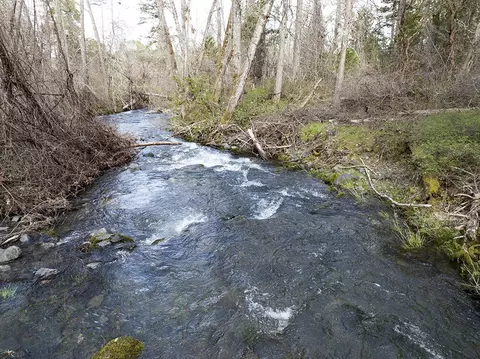 15150 Water Gap Rd, Williams, OR 97544