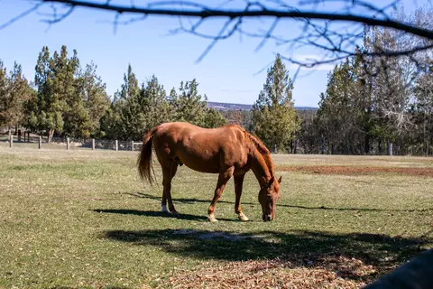 Other - 64440 Bailey Rd, Bend, OR 97703 photo 31 of 36
