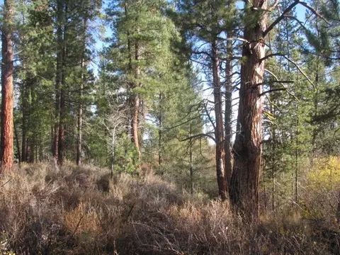 16343 Sparks Dr, La Pine, OR 97739 photo 2