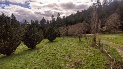 8564 Deer Creek Rd, Selma, OR 97538 photo 3