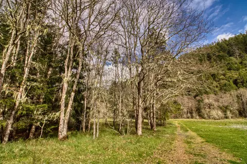 8564 Deer Creek Rd, Selma, OR 97538 photo 14