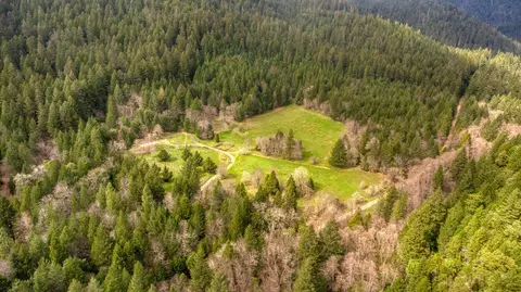 8564 Deer Creek Rd, Selma, OR 97538