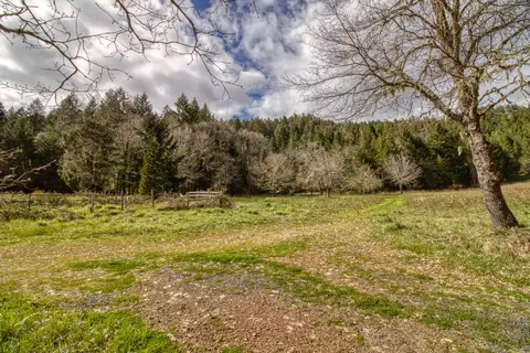 8564 Deer Creek Rd, Selma, OR 97538 photo 10