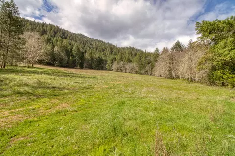 8564 Deer Creek Rd, Selma, OR 97538 photo 9