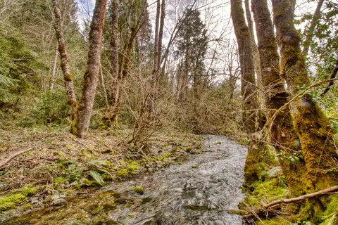 8564 Deer Creek Rd, Selma, OR 97538 photo 5