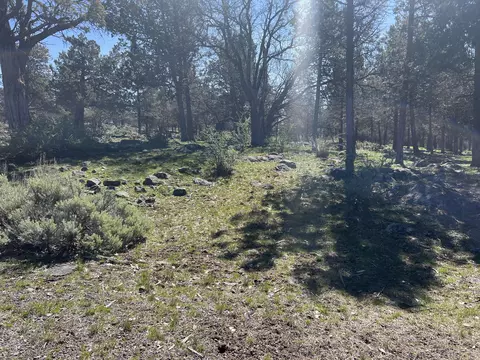lot507 Dowitcher Rd, Klamath Falls, OR 97601