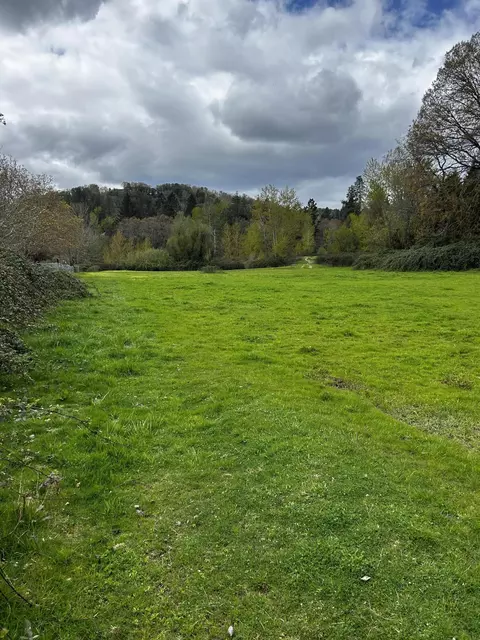 254 Lathrop Ln, Grants Pass, OR 97526