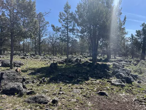 lot506 Dowitcher Rd, Klamath Falls, OR 97601