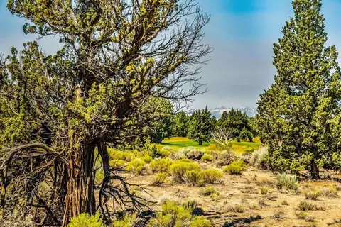 22914 Moss Rock Dr #LOT 215, Bend, OR 97701
