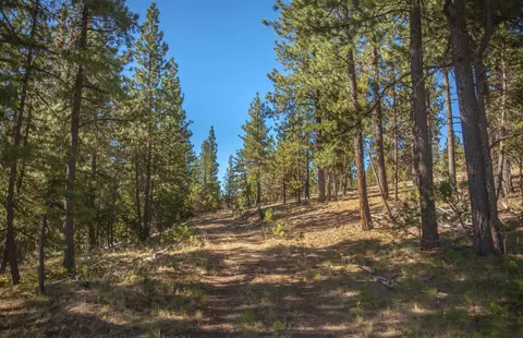 tbd Loften Creek Rd, Prineville, OR 97754