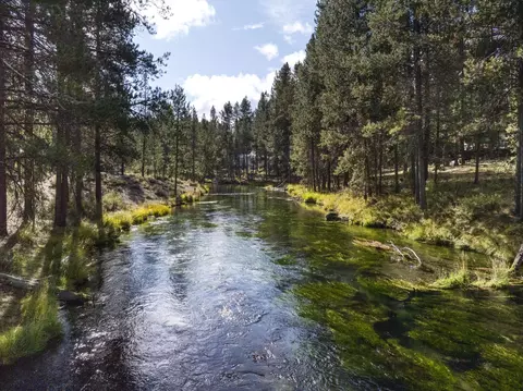 View/Area - 15014 E River Loop Dr, Bend, OR 97707 photo 14 of 17