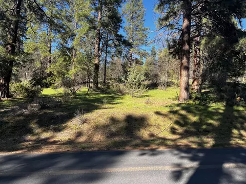0 Merganser Rd #LOT 110, Klamath Falls, OR 97601