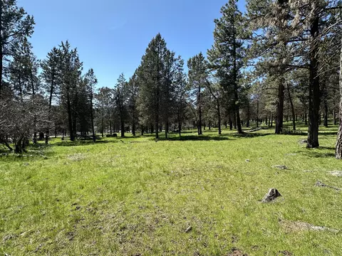crossbill drive LOT 1014, Klamath Falls, OR 97601