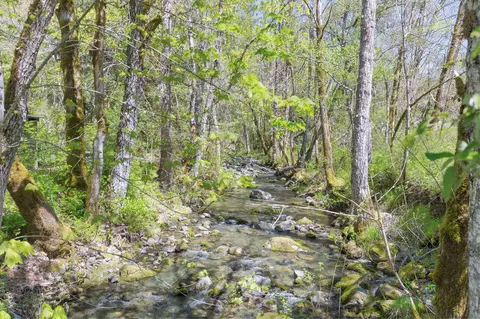 Other - 3445 Granite Hill Rd, Grants Pass, OR 97526 photo 3 of 7