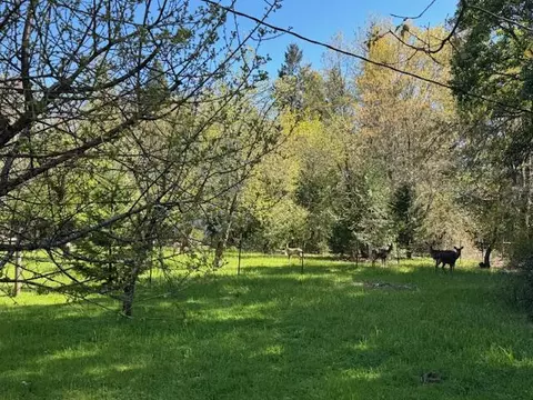 367 W Watkins St, Cave Junction, OR 97523