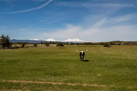 View/Area - 65900 Cline Falls Rd, Bend, OR 97703 photo 9 of 13