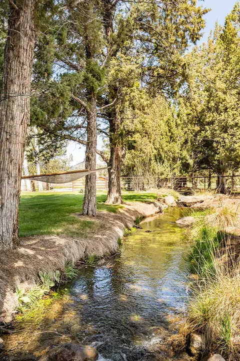 View/Area - 65900 Cline Falls Rd, Bend, OR 97703 photo 6 of 13