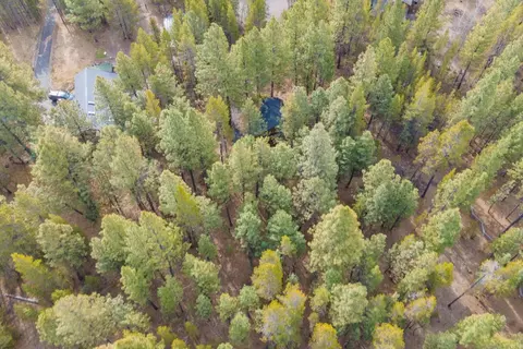View/Area - 56721 Bandley Rd, Bend, OR 97707 photo 11 of 11