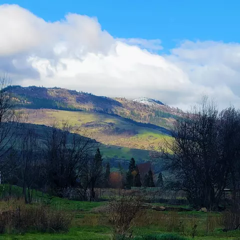 129 Orchard Ln, Ashland, OR 97520
