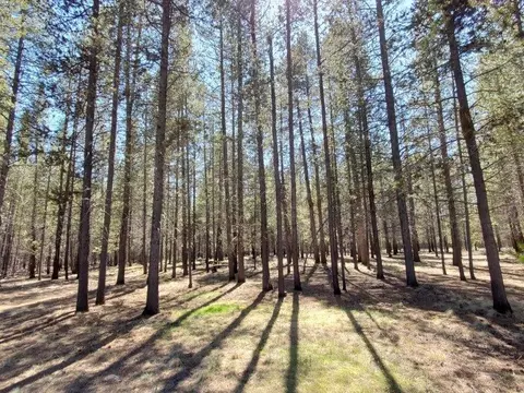 15933 Deedon Rd, La Pine, OR 97739 photo 20
