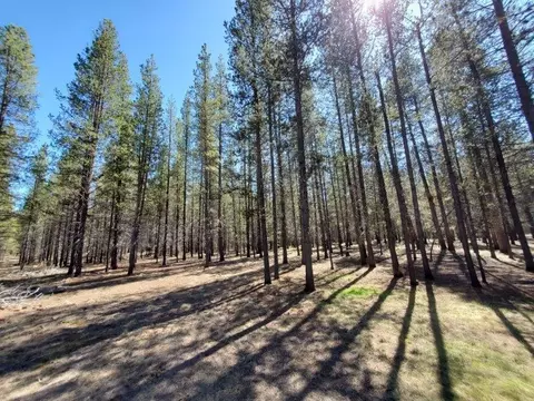 15933 Deedon Rd, La Pine, OR 97739 photo 24