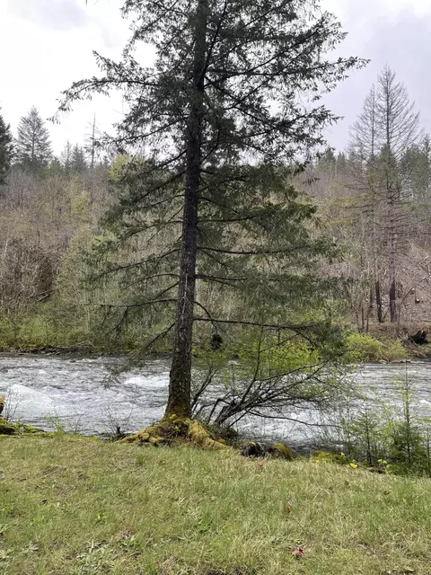 49950 N Santiam Hwy, Idanha, OR 97350