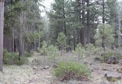 57367 Beaver Ridge Loop #25B, Sunriver, OR 97707 photo 2