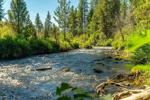 62907 Levins Ln, Bend, OR 97703 photo 24