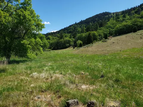 0 Cove Rd #PARCEL 5, Ashland, OR 97520