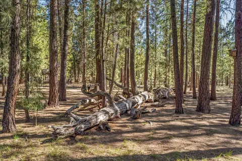 52080 Finger Cone, La Pine, OR 97739 photo 27