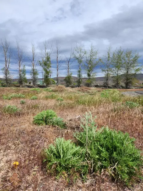 308 Little Lake Rd, Maupin, OR 97037