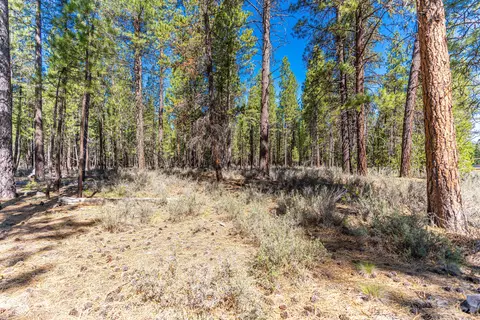 16545 Stage Stop Dr, Bend, OR 97707 photo 15