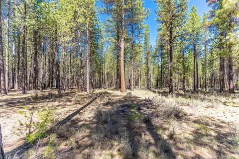 16545 Stage Stop Dr, Bend, OR 97707 photo 5